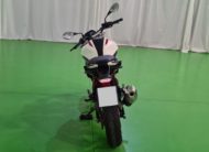 BMW G 310 R Style Passion