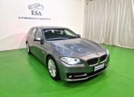 BMW 520 Serie 5 F11 Touring 520d Touring xdrive Business 190cv auto